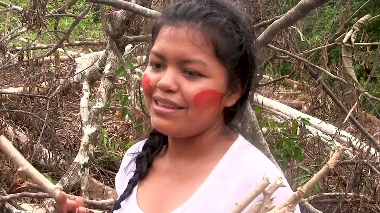 Agrobiodiversidad y Sistemas Tradicionales de Alimentaci&oacute;n: Pueblos ind&iacute;genas Kichwa de Pastaza