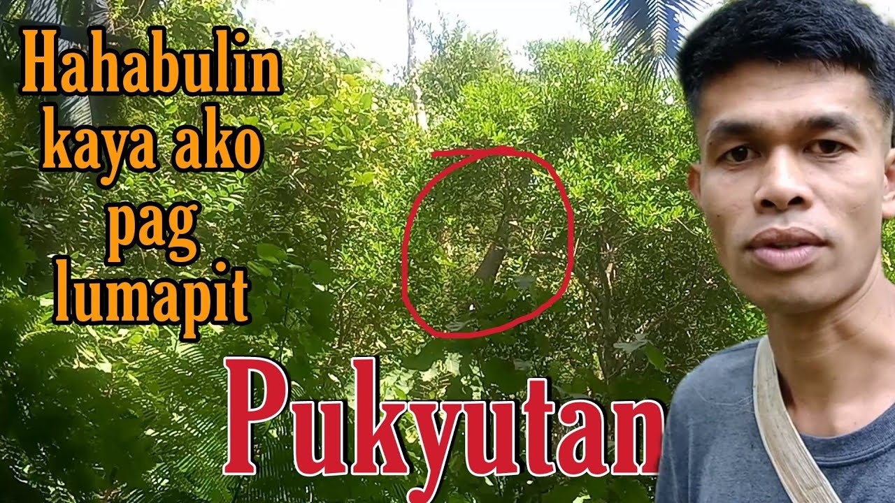 Pukyutan/Honey bee