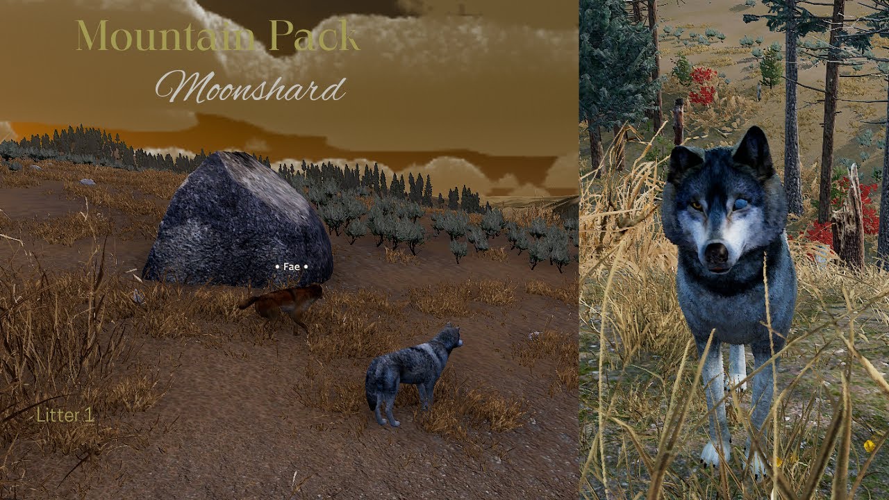 Mountain Pack - Moonshard L1 - Young Hunters [WolfQuest Saga]