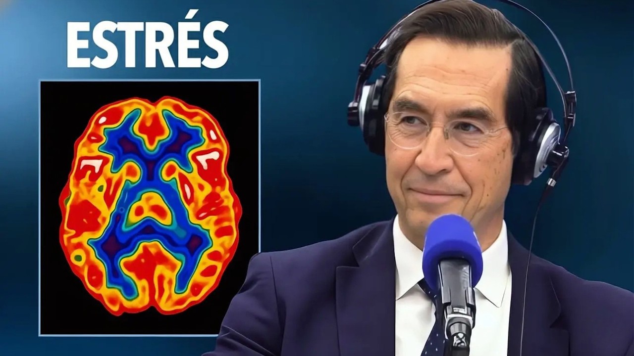 ¿Qué pasa realmente en tu cerebro cuando estás bajo estrés? | Mario Alonso Puig