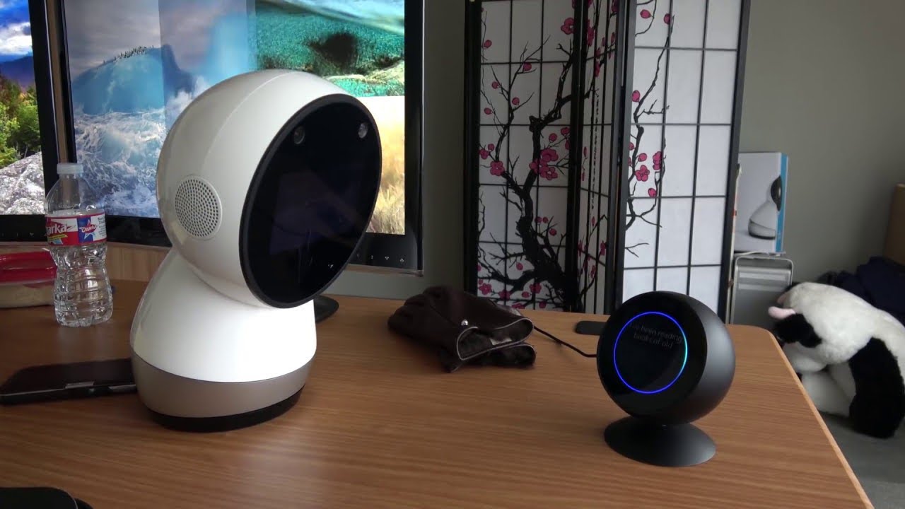 Face Off: Jibo против Alexa (Echo Spot)