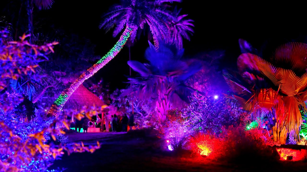 Last week to visit Night Lights at Naples Botanical Garden