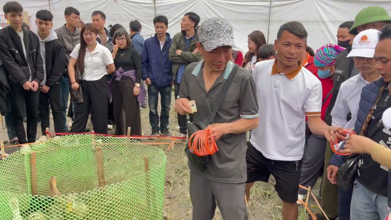 Lễ hội lồng tông xã phủ thông du khách rất đông tổ chức quy mô lớn nhiều trò chơi hay.