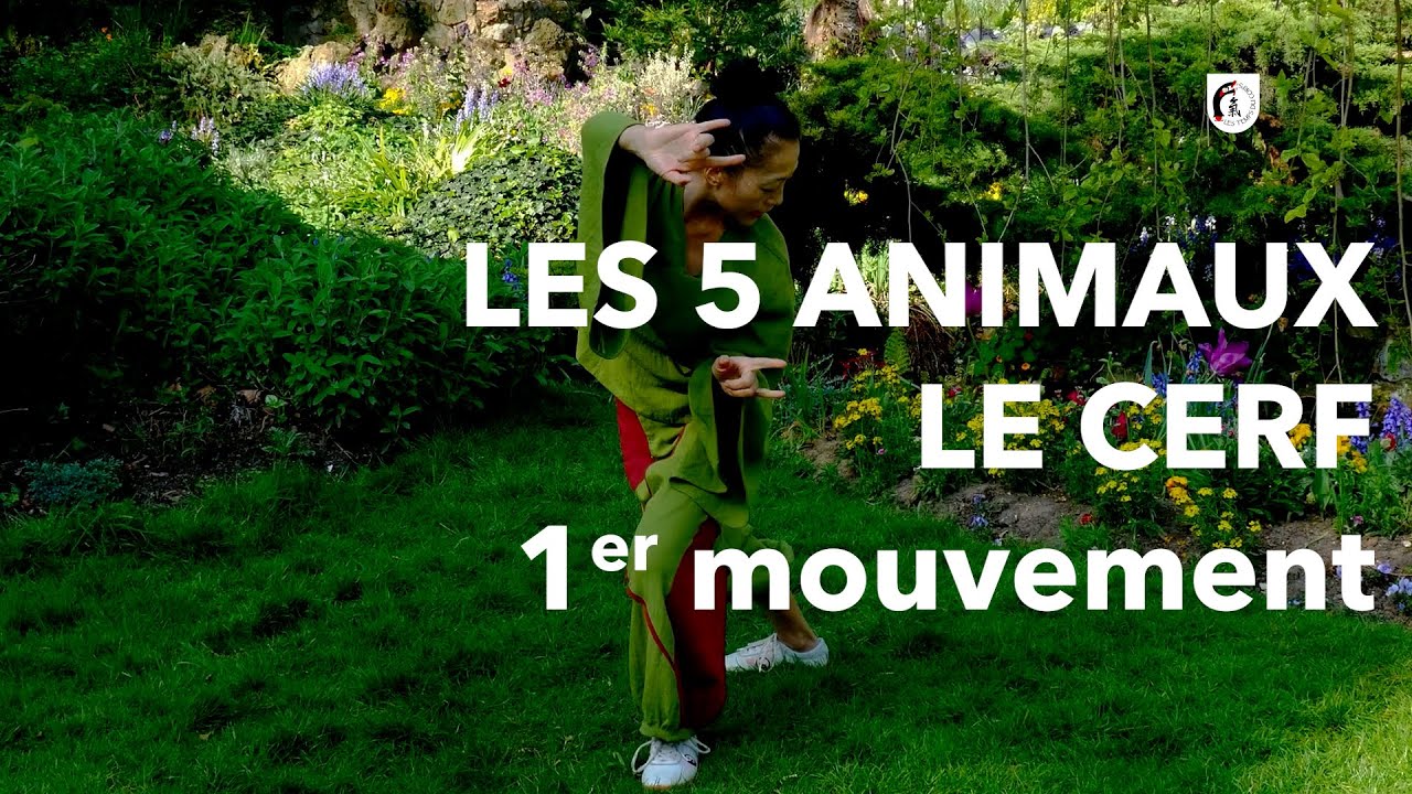 QI GONG TIME l Maître KE Wen l 5 animaux - Le Cerf (1er mouvement)