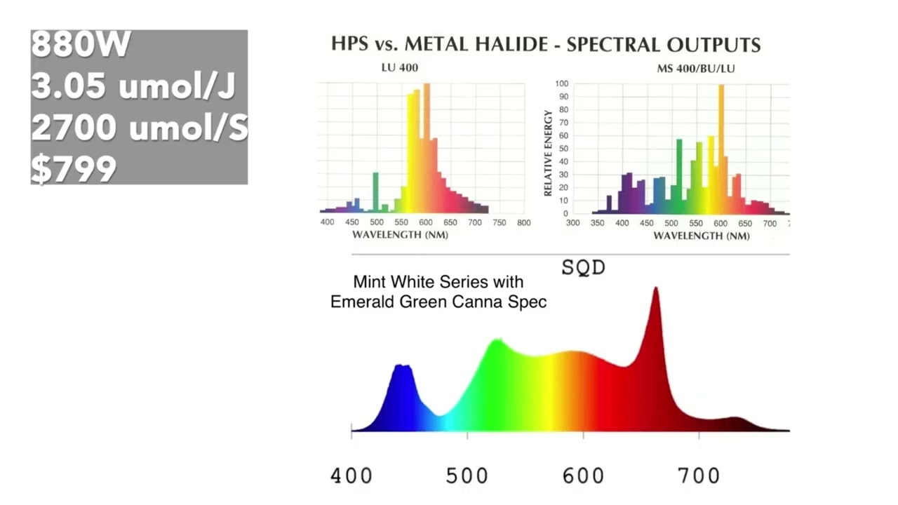 Ledgrowlightdepot post on 4 LED's to Dominate a 5x5 Grow Space.  Mammoth Lighting Mint White Series