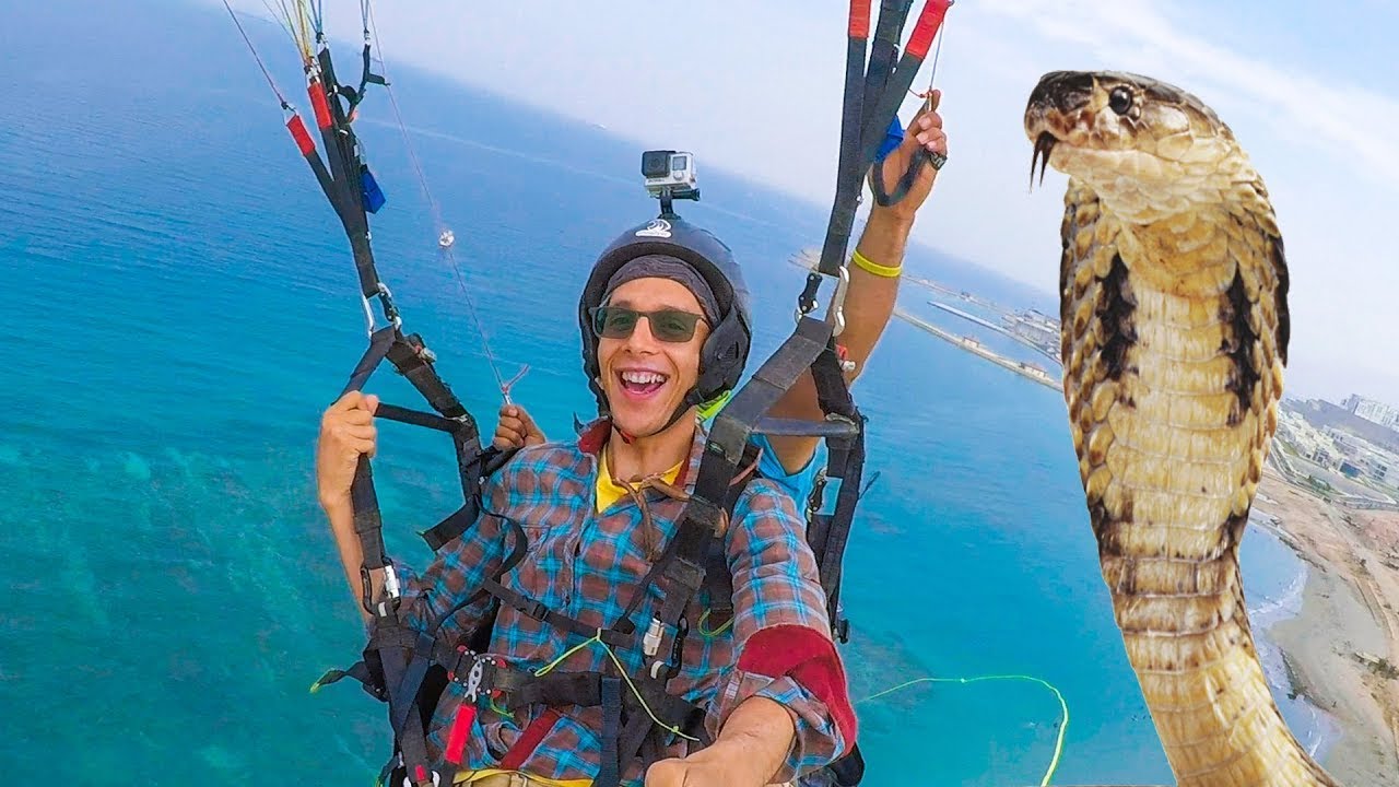 أكلت كوبرا سامة على ارتفاع 3000 قدم.. تجربة مجنونة