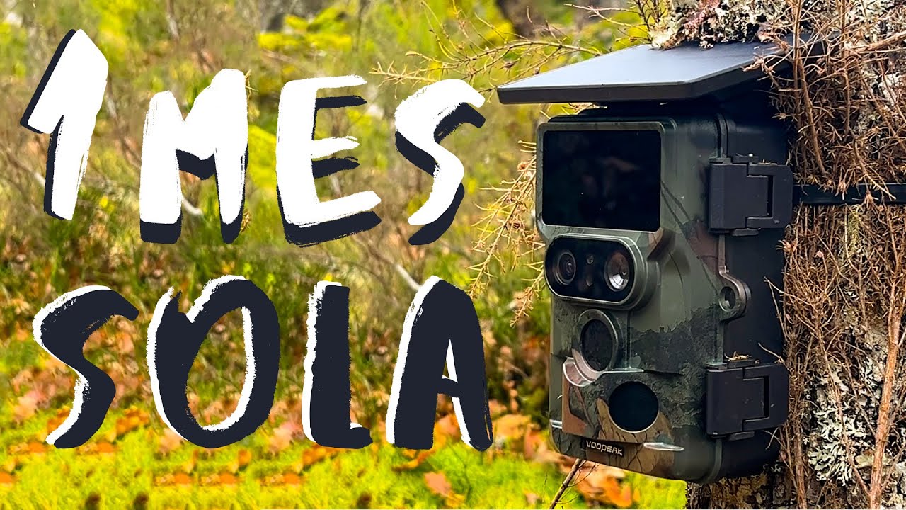1 Mes SOLA en el Bosque - Voopeak TC22