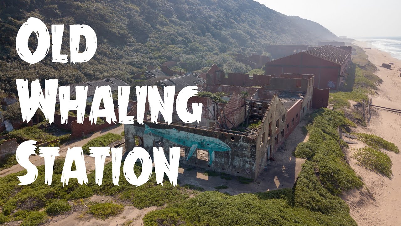 Old Whaling Station on the Bluff | Durban | 4K