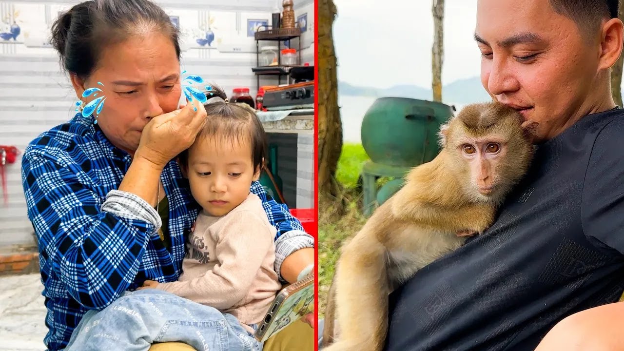 So touching: Diem showed her grandmother the footage of dad meeting Monkey Kaka in the forest.