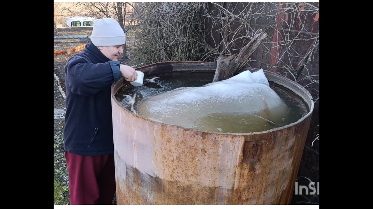 Дачный сезон. 1серия #огород #дача #дачасоколовых