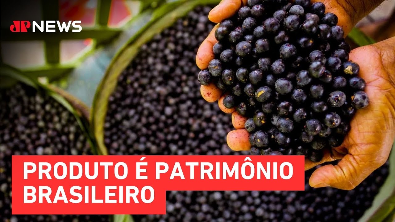 Açaí é reconhecido oficialmente como fruta nacional