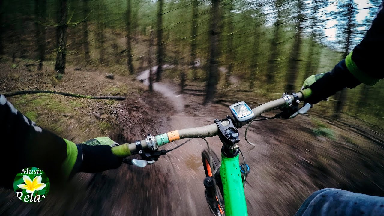 Sounds of Forest Nature and Downhill Mountain Biking 🚲😱