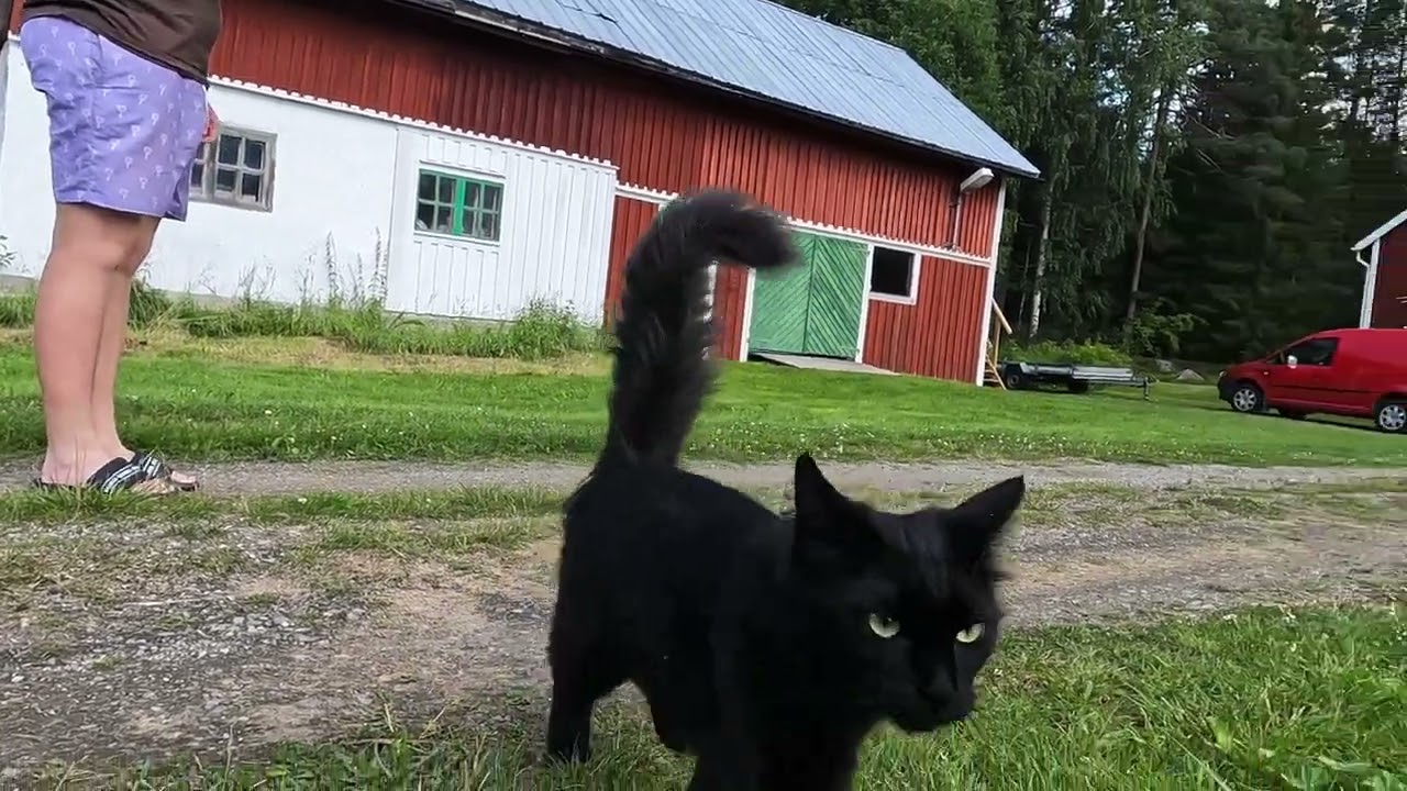En helg i Rossön