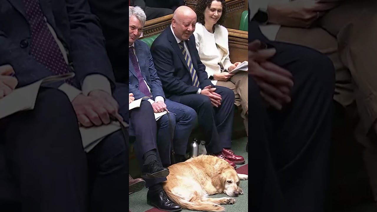 Starmer wishes Jennie, Steve Darling&rsquo;s guide dog, a happy birthday