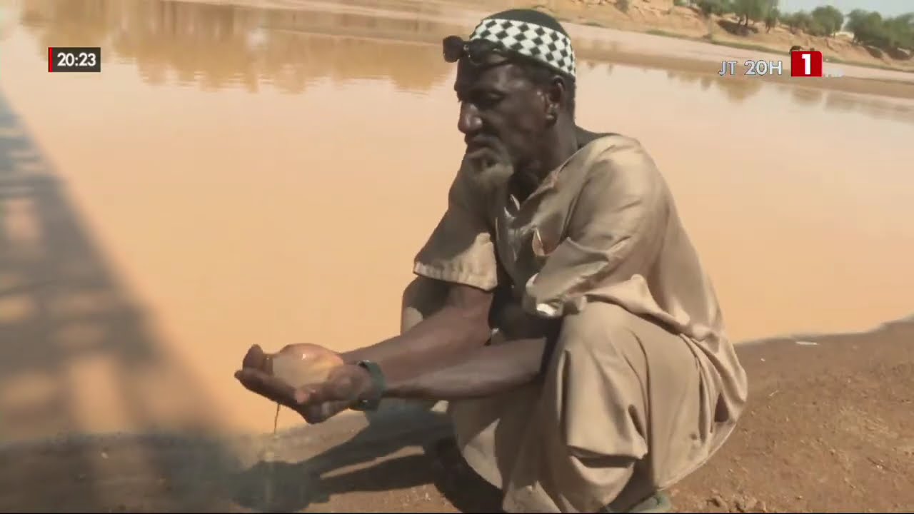 CHRONIQUE : Tamba-kedougou : faire des potentialités une prospérité