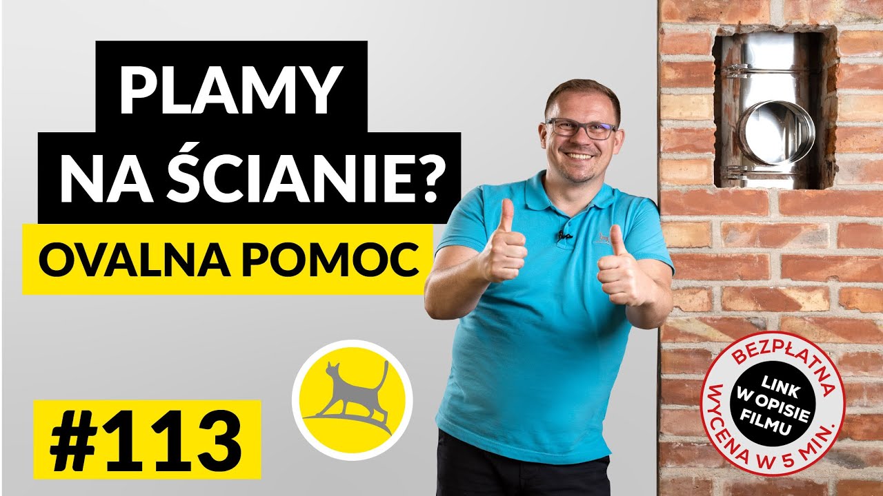 NIE MARTW SIĘ PLAMAMI NA ŚCIANIE - OWALNY WKŁAD NA POMOC #113