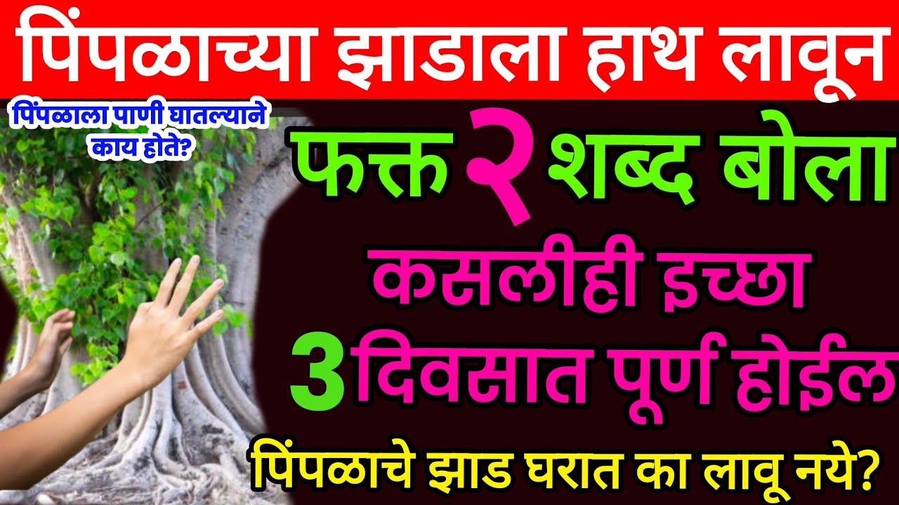 पिंपळाच्या झाडाला हात लावून फक्त एक शब्द बोला कसलीही इच्छा तीन दिवसात पूर्ण होईल #pipal #puja#पिंपळ