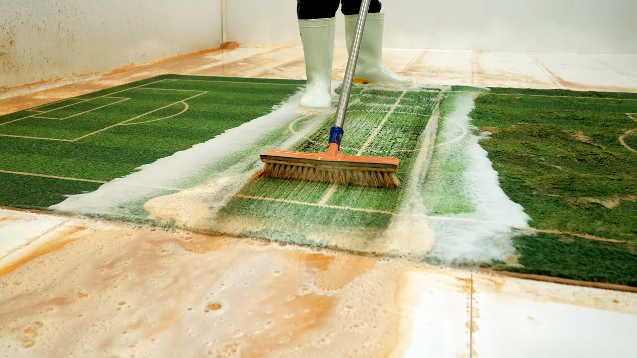 This Carpet Looked Like a Mud Field… Watch It Turn Green Again | Carpet Cleaning ASMR