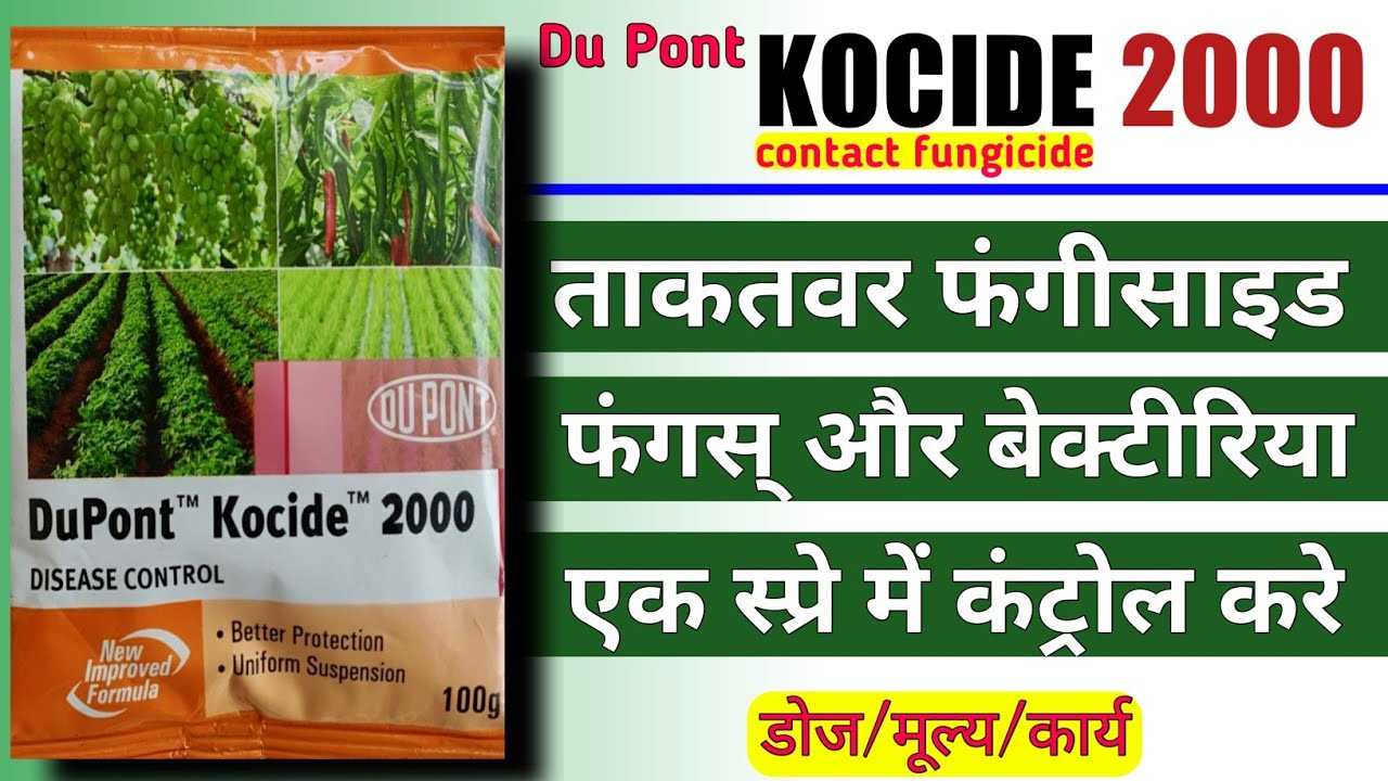 Kocide | Kocide fungicide | Kocide 2000 | Kocide fungicide uses in hindi