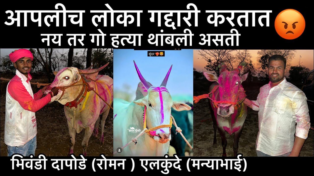 सुंदर 1111 च्या 3 वेळा 1 no केला आमच्या सुंदर ने सध्या तो घाटावर आहे | ईताडे भिवंडी 2026 ………