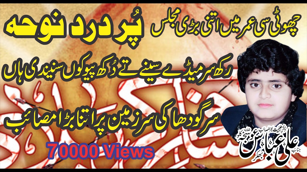 Rakh Sar Mere Sine Ty Noha Zakir Ali Abbas Ausja 2024 Noha Bibi Sakina Nawaz Majalis Network