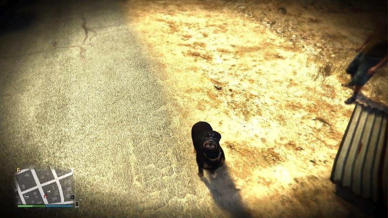 GTA ONLINE: Aggressive NPC Gets Punched