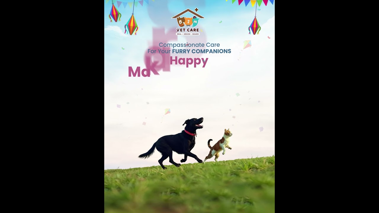 Caring for Pets. Celebrating Together. Happy Makar Sankranti | B2M Vetcare