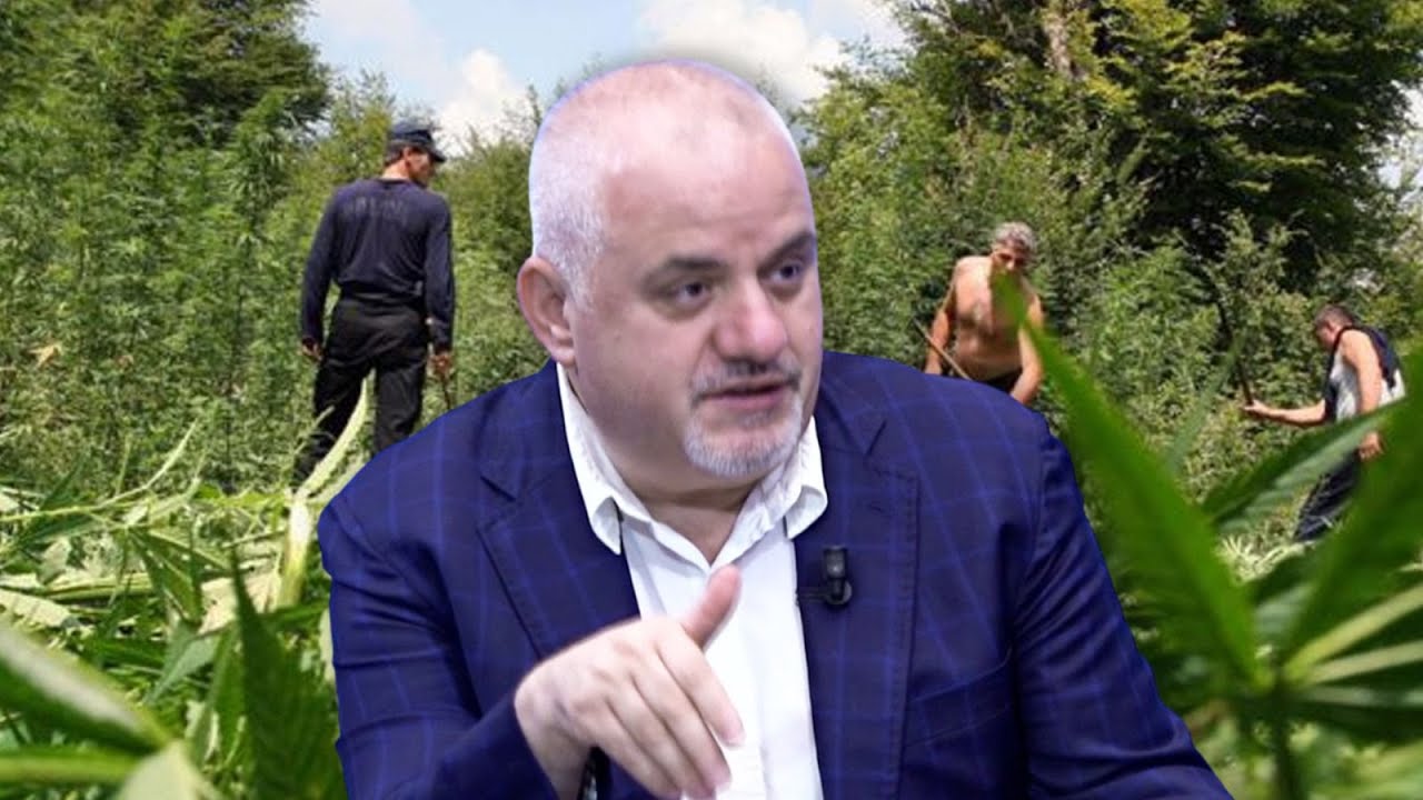 Shokon Artan Hoxha: Në jug përdorin emigrantët e huaj për të rritur kanabisin