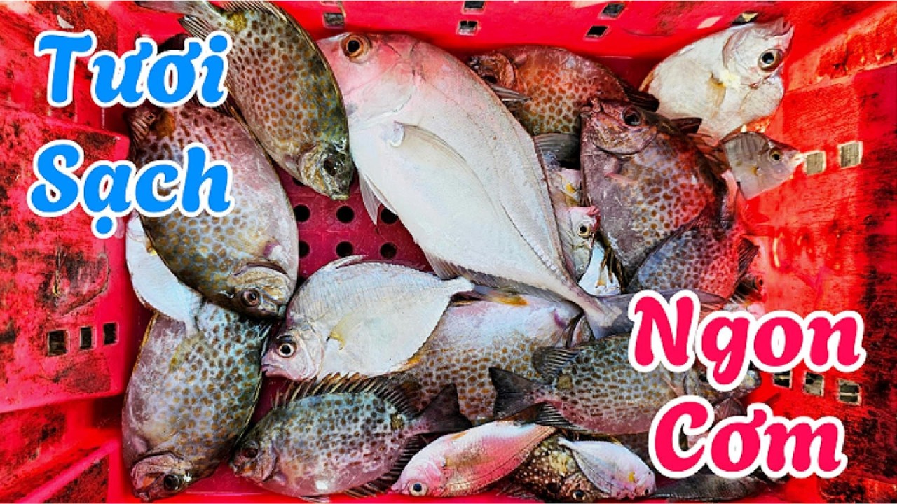 Цены на бензин растут, цены на рыбу растут, поэтому я просто буду ловить рыбу сам.