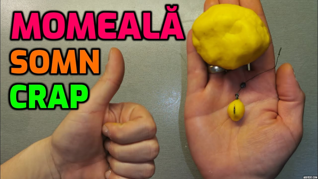 Momeală perfectă pentru pescuit la crap și somn