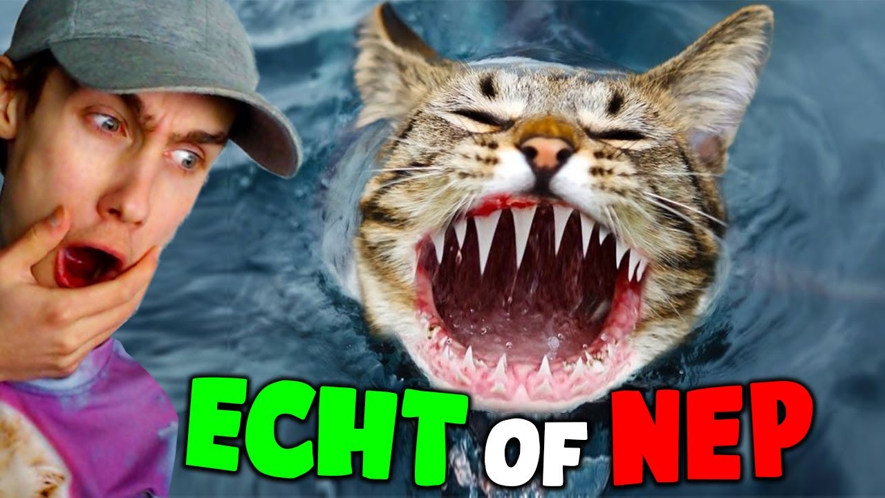Echt of Nep? 😈99% moeilijk😈