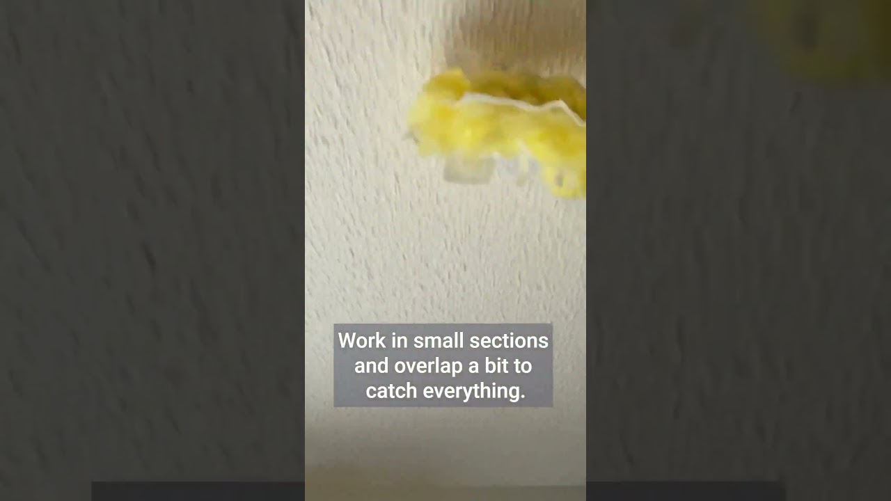 Popcorn Ceiling Cleaning Guide #cleaningtips #cleaningmotivation #cleanwithme