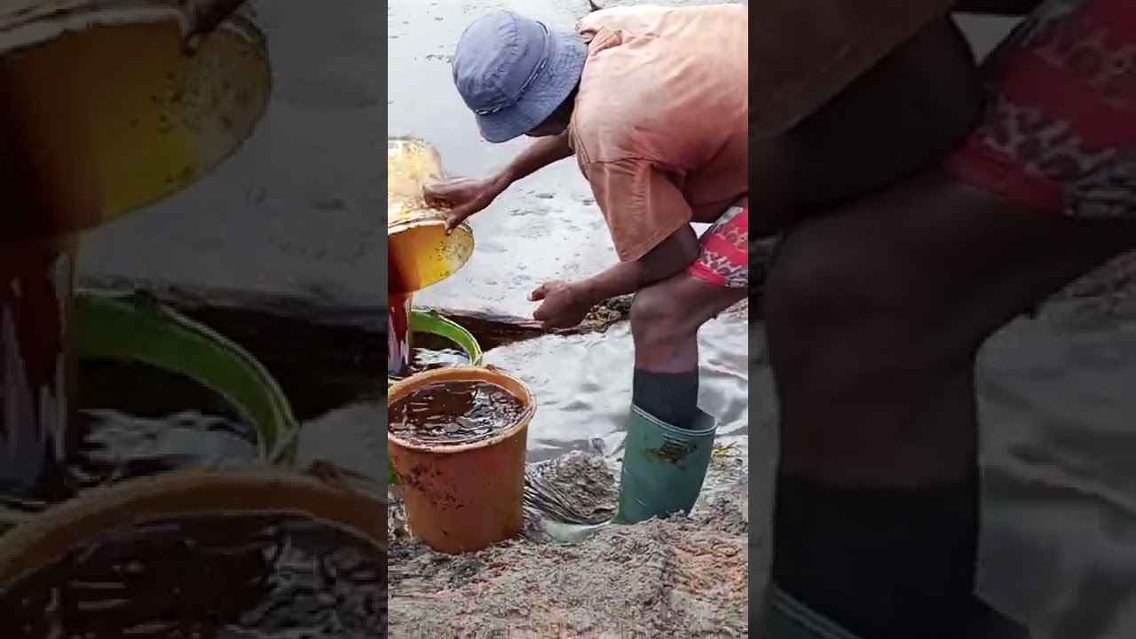Extraction of Palm oil from PALM SLUDGE (only for soap production)
