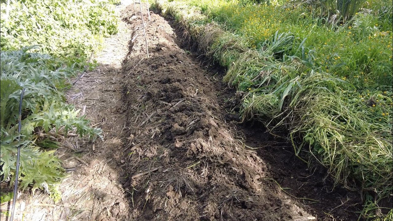 #Permaculturecompost How we use swales to make compost.