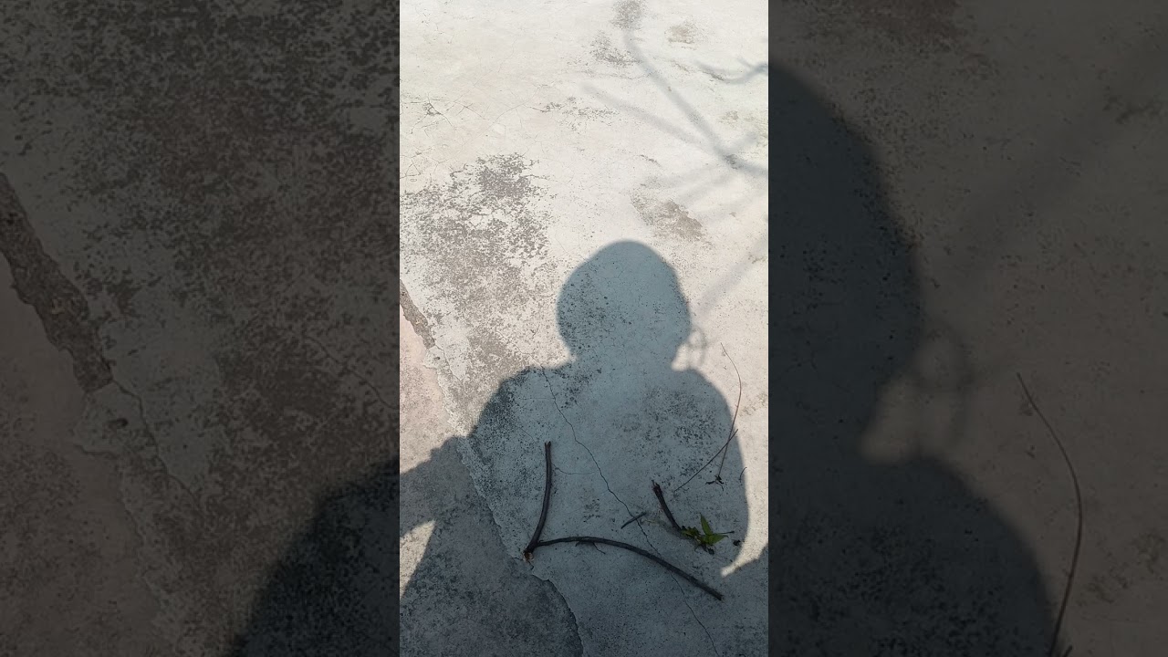 7 February 2026