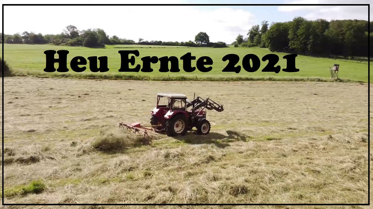 Heu Ernte 2021 | IHC 554  PZ 165 Fahr Wender Fendt Presse 4180V