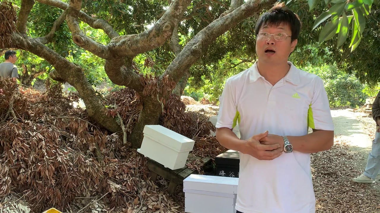 峰谷養蜂場 宋威霆老師細說養蜂哲學（3）陳昭鈞教授文山養蜂戶外教學紀錄。 峰谷蜂產品訂購專線：04 2339 8123  台中市霧峰區峰谷路360巷11號