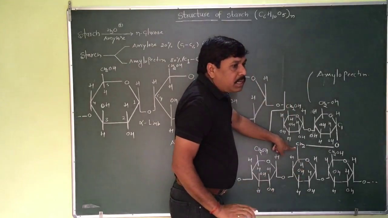 Structure Of Amylose and Amylopectin (Starch)