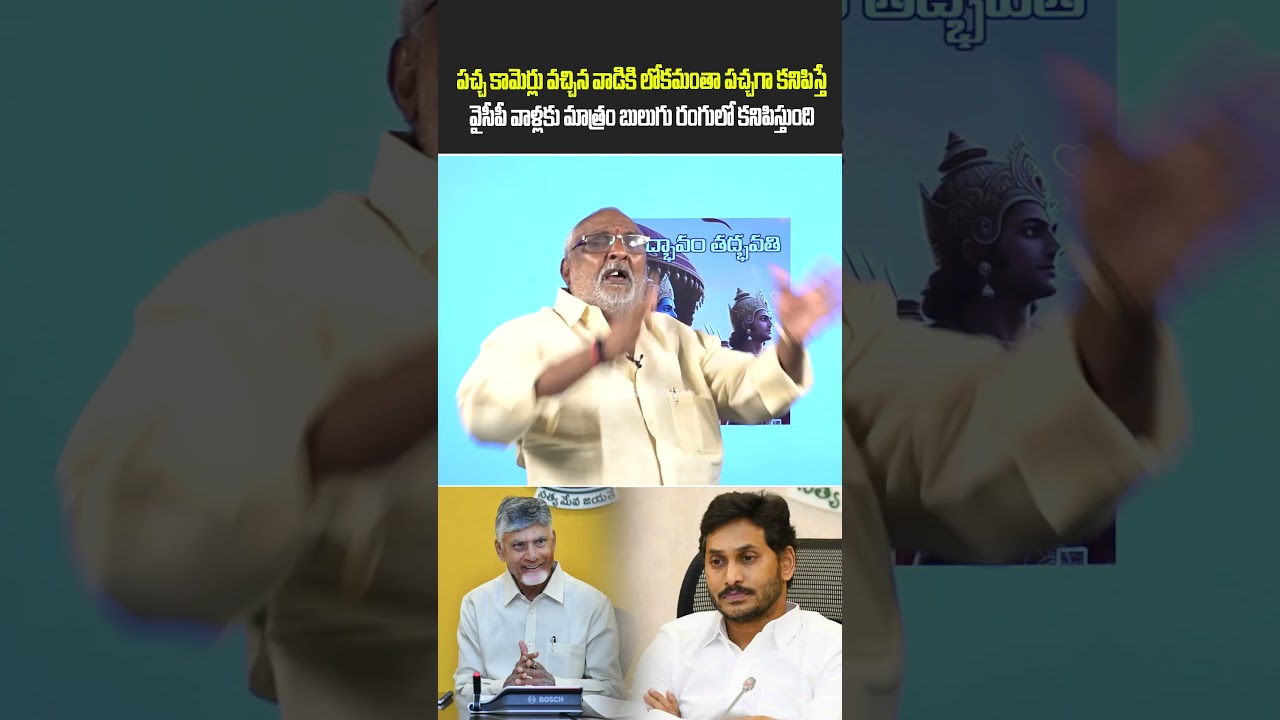 వైసీపీ కళ్ళకు బ్లూ కలర్ అద్దాలు | TDP Leader Amma Prasad Exposes YSRCP Mindset! | Vanara Digital