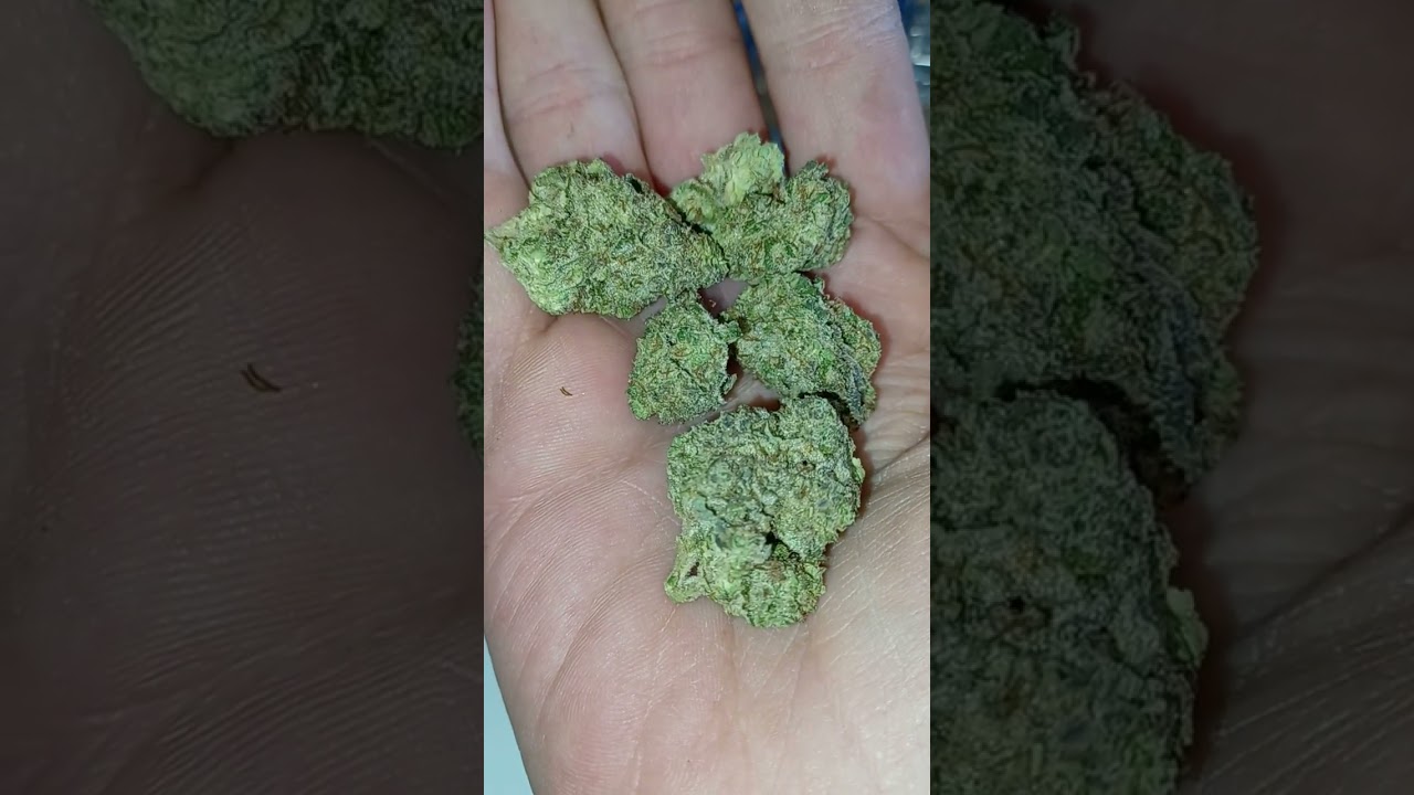 Sugar Mill THCA (Wedding Cake x Gorilla Glue #4) Flame Train CBD, (Is it good?)