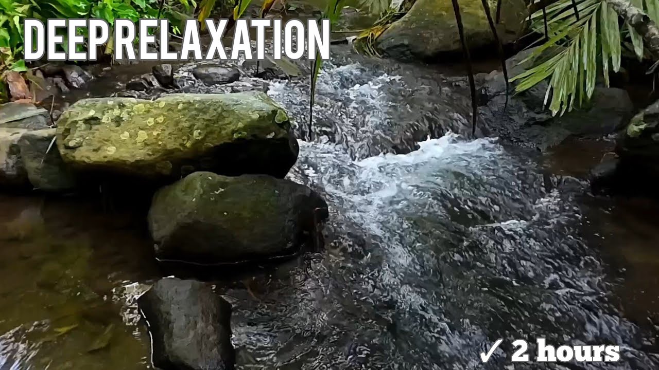 2 Hours of Healing Tropical Stream Sounds 🌿 Mental Reset, Digital Detox, Stress & Anxiety Relief