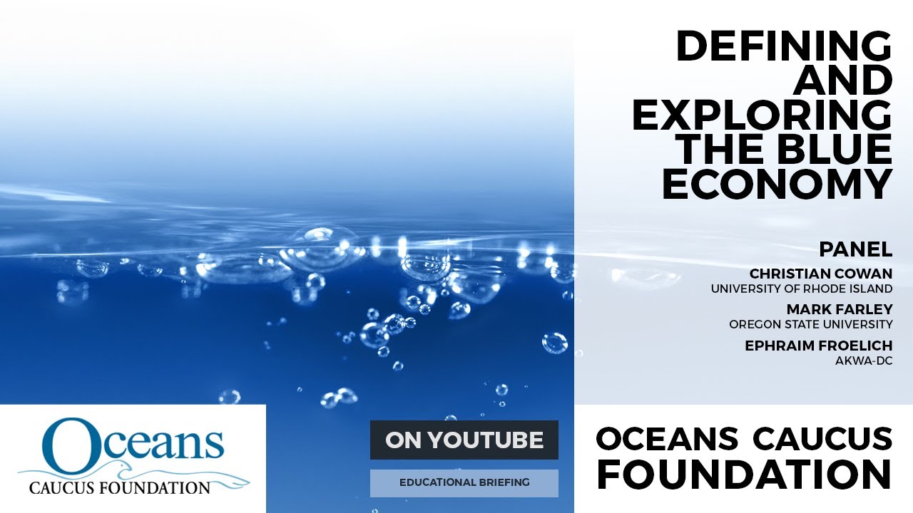 Defining and Exploring the Blue Economy