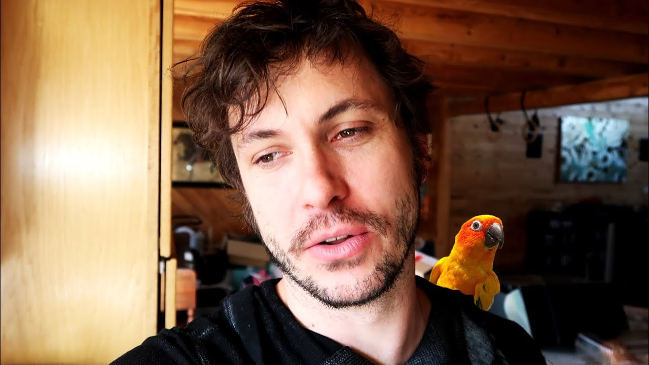 *LEAKED* Actual Footage of Toby Turner Going Deaf