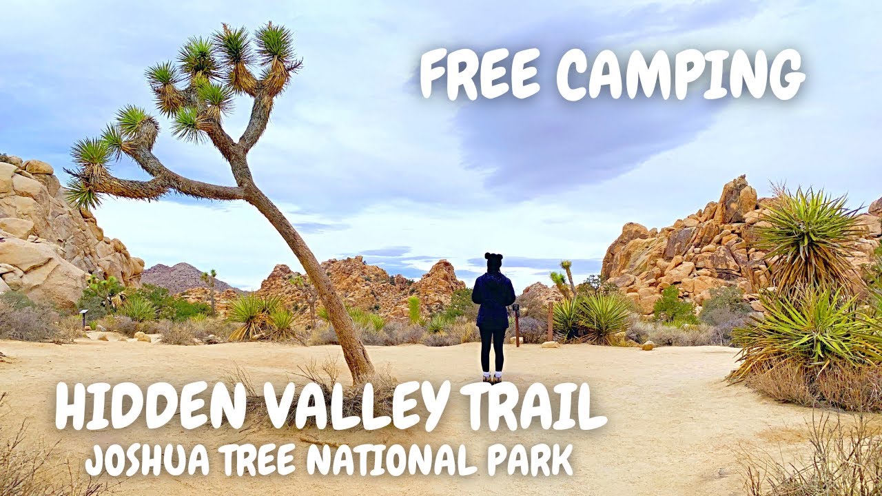 Joshua Tree National Park | Hidden Valley Trail | FREE camping