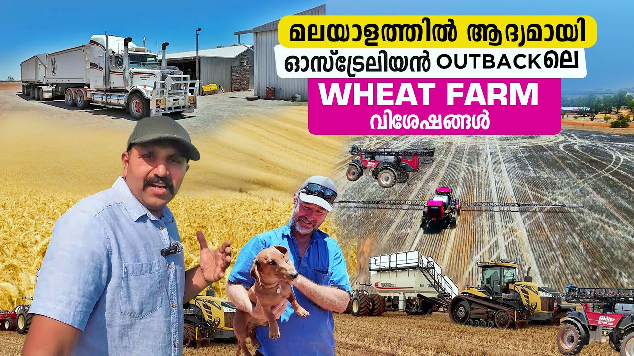 ഓസ്‌ട്രേലിയൻ outback ലെ 18000 ഹെക്ടർ Wheat Farm ഫാമിൻ്റെ വിശേഷങ്ങൾ#australia #farm #farming