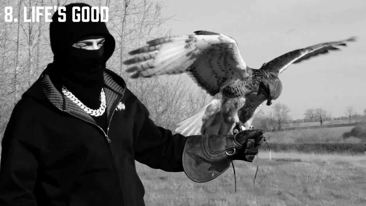 BM - Life's Good (Audio)