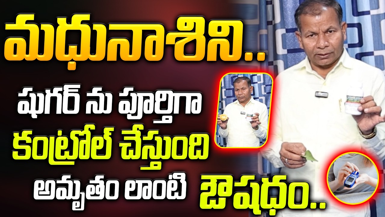 మధునాశిని - షుగర్ ను పూర్తిగా కంట్రోల్ చేస్తుంది ! దివ్య ఔషదం | Dr Ganta Anandam | Stop Diabetes