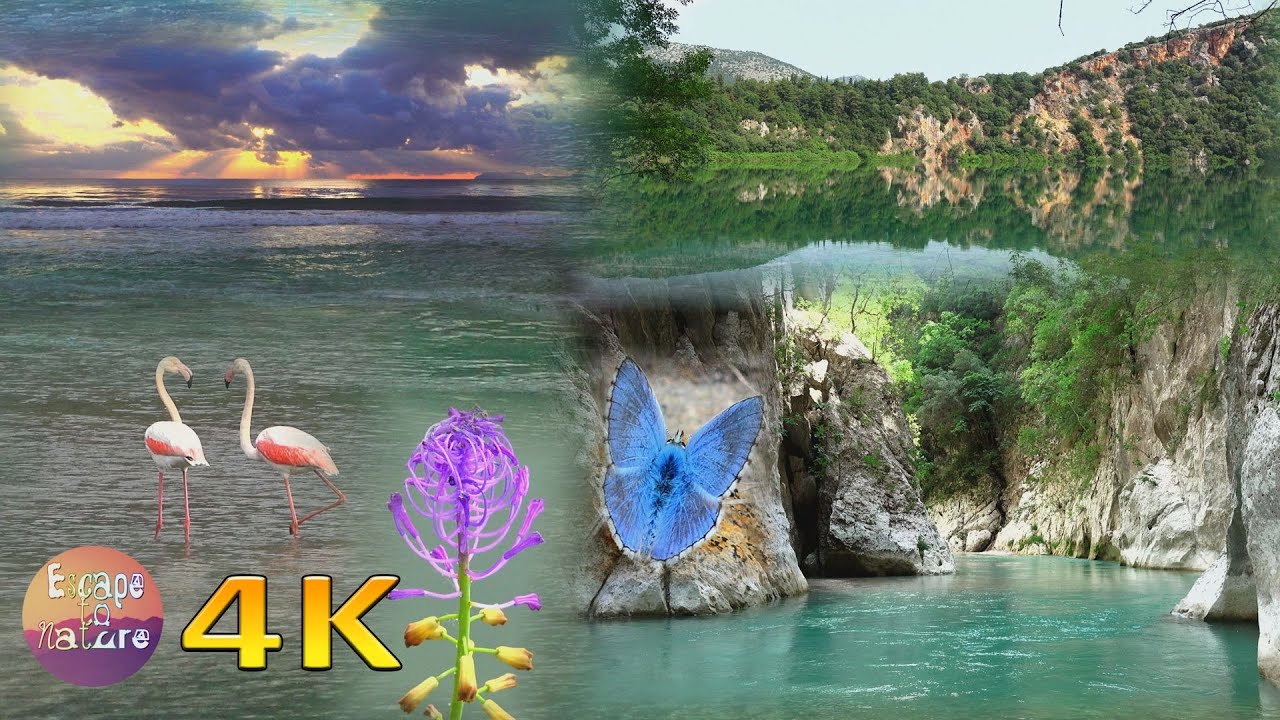 4K Amazing nature scenery from the beautiful Greek nature - Relaxation music & birds singing