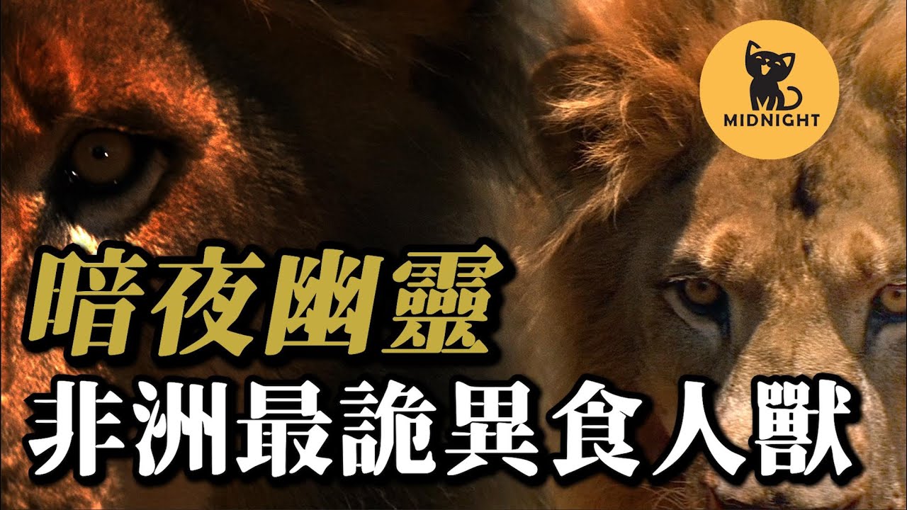 兩隻惡獸結伴吃人，100多人命喪黃泉，嚇跑馬賽人，恐怖的食人惡魔