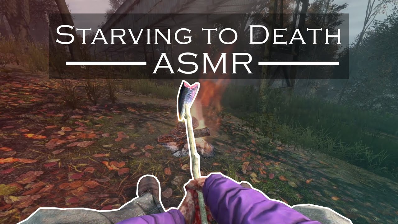 DayZ Apocalypse ASMR